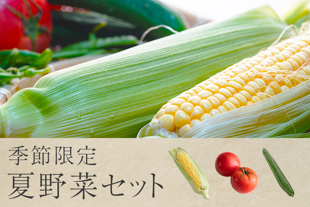 【季節限定】夏野菜セット