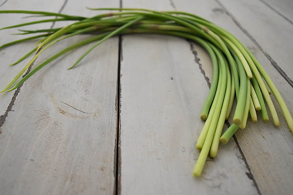 播本さんのにんにくの芽 和歌山県産 食材宅配サービスのココノミ