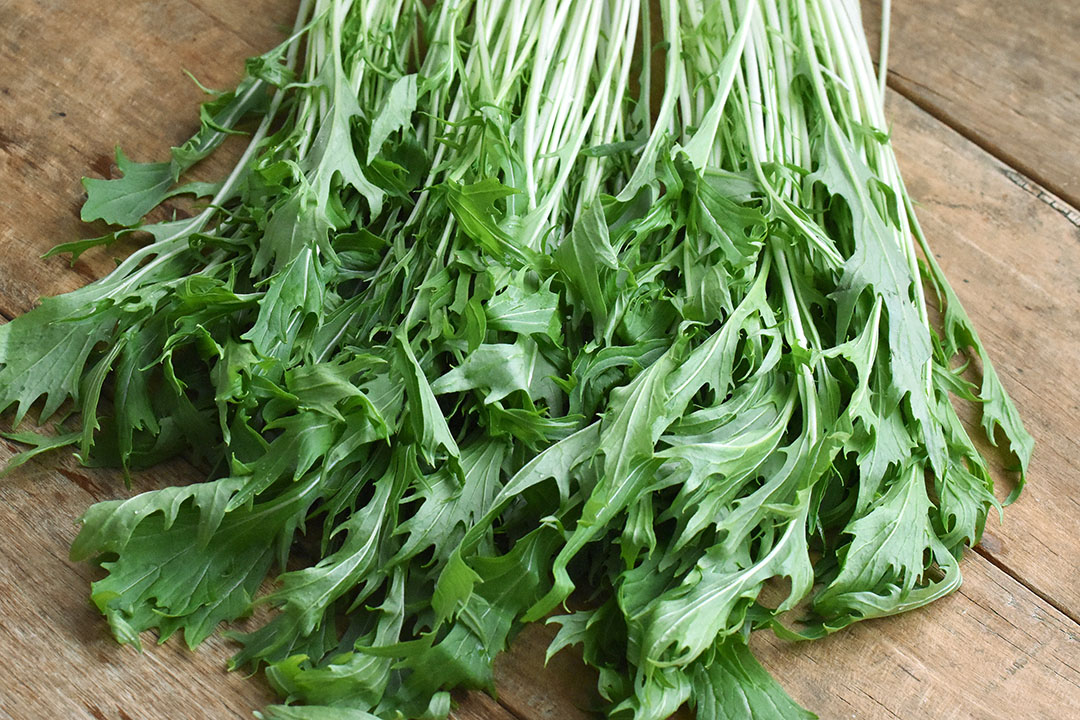 栗沢あおぞら農園さんの有機栽培水菜(北海道産)