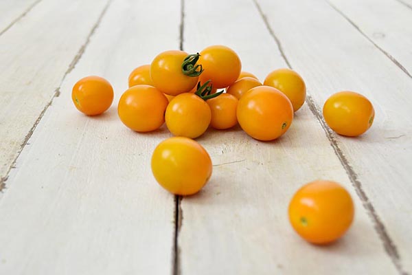 西前さんのミニトマト・オレンジキャロル(奈良県)