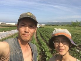 山根さんの越前赤そら豆 石川県産 食材宅配サービスのココノミ